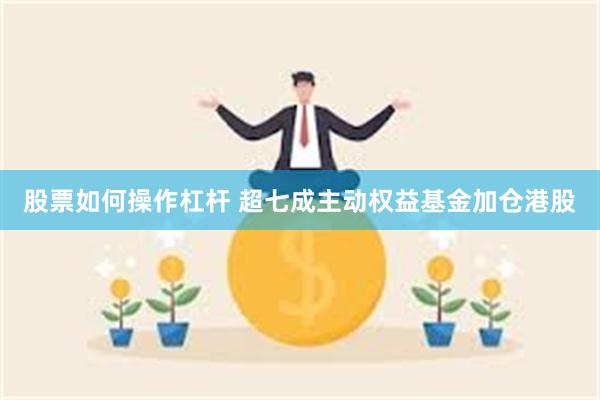股票如何操作杠杆 超七成主动权益基金加仓港股